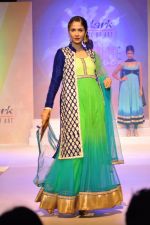 Model at Le Mark fashion show in St Andrews, Mumbai on 31st May 2014 (18)_538a95853cb31.JPG