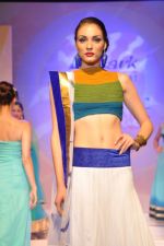 Model at Le Mark fashion show in St Andrews, Mumbai on 31st May 2014 (23)_538a958a54188.JPG