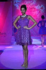 Model at Le Mark fashion show in St Andrews, Mumbai on 31st May 2014 (43)_538a959fd3df8.JPG