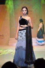 Model at Le Mark fashion show in St Andrews, Mumbai on 31st May 2014 (76)_538a95c6d34b0.JPG