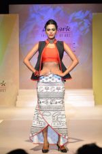 Model at Le Mark fashion show in St Andrews, Mumbai on 31st May 2014 (90)_538a95d086e33.JPG