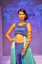 Model at Le Mark fashion show in St Andrews, Mumbai on 31st May 2014 (97)_538a95d47a6ba.JPG