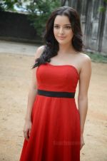 Kristina at Telugu Film Gali Pattam Press Meet on 2nd June 2014 (11)_538c5ec4ea5c4.jpg