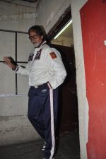 Amitabh Bachchan snapped at PVR on 4th June 2014 (26)_5390175f94aae.JPG