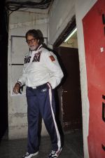 Amitabh Bachchan snapped at PVR on 4th June 2014 (27)_53901760183a9.JPG