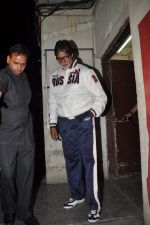 Amitabh Bachchan snapped at PVR on 4th June 2014 (28)_53901760a8807.JPG