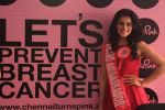 Taapsee Pannu the new brand ambassador of Chennai turns Pink on 1st June 2014 (7)_5391b64d788a0.JPG