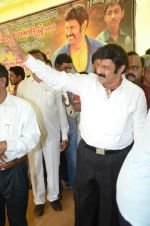 at Happy Birthday Balayya celebration by All India NBK Fans on 10th June 2014 (225)_539945caa7d1d.jpg