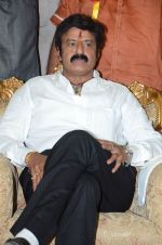 at Happy Birthday Balayya celebration by All India NBK Fans on 10th June 2014 (245)_539945db798df.jpg