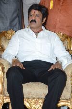 at Happy Birthday Balayya celebration by All India NBK Fans on 10th June 2014 (248)_539945dde2781.jpg