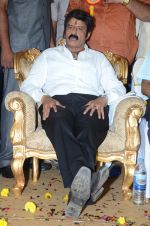 at Happy Birthday Balayya celebration by All India NBK Fans on 10th June 2014 (250)_539945df5c311.jpg