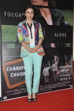 Soha Ali Khan at film Chaarfutiya Chhokare meet in Raheja Classique, Mumbai on 18th June 2014 (26)_53a2a95748c33.JPG
