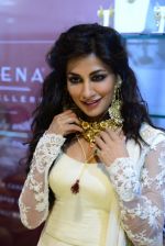 Chitrangada Singh at Glamour jewellery exhibition opening in Mumbai on 4th July 2014 (143)_53b76c4aaadf9.JPG