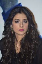 Tabu at the promotion of Haider on 8th July 2014 (36)_53bbd54a93dc9.JPG
