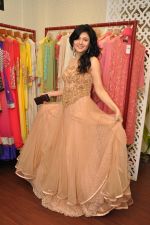Sonal Sehgal at Dvar and Fashionmostwanted bloggers Meet in Mumbai on 13th July 2014 (83)_53c3a3810bd44.JPG
