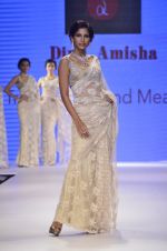 Model walks for Dipti Amisha at IIJW Day 2 on 15th July 2014 (47)_53c6672a66e4d.JPG