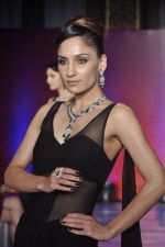  Saboo Jewls show by designer Amy Billimoria on 15th July 2014 (63)_53c7a62a4f1be.JPG