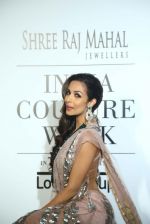 Malaika Arora Khan for Rina Dhaka at IIJW 2014 in Grand Hyatt, Mumbai on 16th July 2014 (32)_53c8015615c79.jpg