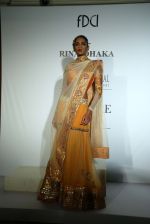 Model for Rina Dhaka at IIJW 2014 in Grand Hyatt, Mumbai on 16th July 2014 (19)_53c800a94f22d.jpg