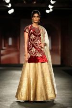 Model walks for Anju Modi in IIJW 2014 in Grand Hyatt, Mumbai on 16th July 2014 (78)_53c7bf9573676.jpg