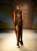 Model at Gaurav Gupta show fOR India Couture Week in Delhi on 18th July 2014 (13)_53cbc228b5e9a.jpg