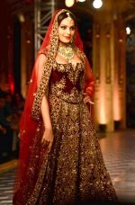 Bipasha Basu walk for Fashion Design Council of India presents Shree Raj Mahal Jewellers on final day of India Couture Week in Delhi on 20th July 2014 (9)_53cd471c43693.jpg