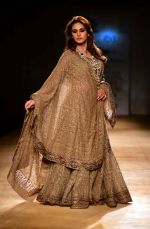 Huma Qureshi walk for Rimple & Harpreet Narula show on final day of India Couture Week in Delhi on 20th July 2014 (31)_53cd498713fac.jpg