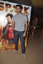 Rajneesh Duggal at the Spark trailor launch in PVR, Mumbai on 21st July 2014 (31)_53ce6b9f25a6a.JPG