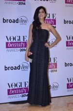 Nishka Lulla at Vogue Beauty Awards in Mumbai on 22nd July 2014 (105)_53cf7c1e38b5e.JPG