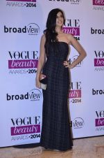 Nishka Lulla at Vogue Beauty Awards in Mumbai on 22nd July 2014 (106)_53cf7c2059799.JPG