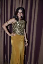 Sona Mohapatra at Etihad Jet collaboration event at grand hyatt on 24th July 2014 (10)_53d2488457a78.JPG