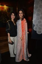 Sona Mohapatra at Absolut Elyx & Anushka Rajan_s fashion preview in Mumbai on 31st July 2014 (61)_53db8ab11a372.JPG