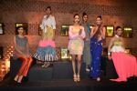 at Absolut Elyx & Anushka Rajan_s fashion preview in Mumbai on 31st July 2014 (52)_53db872d97e6d.JPG