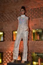 at Absolut Elyx & Anushka Rajan_s fashion preview in Mumbai on 31st July 2014 (92)_53db874cc4394.JPG