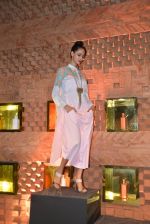 at Absolut Elyx & Anushka Rajan_s fashion preview in Mumbai on 31st July 2014 (96)_53db87525b212.JPG
