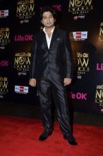 Ankit Tiwari at Life Ok Now Awards in Mumbai on 3rd Aug 2014 (510)_53df42bd76e01.JPG