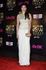 Daisy Shah at Life Ok Now Awards in Mumbai on 3rd Aug 2014 (496)_53df44ada4dbb.JPG