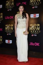 Daisy Shah at Life Ok Now Awards in Mumbai on 3rd Aug 2014 (502)_53df44b85f53e.JPG