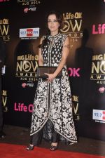 Madhurima Nigam at Life Ok Now Awards in Mumbai on 3rd Aug 2014 (307)_53df4605b4674.JPG