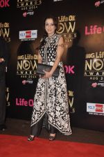 Madhurima Nigam at Life Ok Now Awards in Mumbai on 3rd Aug 2014 (316)_53df4617c69a7.JPG