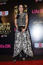 Madhurima Nigam at Life Ok Now Awards in Mumbai on 3rd Aug 2014 (582)_53df462c77a27.JPG