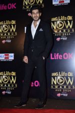 Mohit Marwah at Life Ok Now Awards in Mumbai on 3rd Aug 2014 (220)_53df46c468d7d.JPG