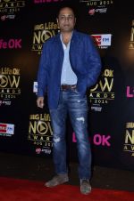 Vipul Shah at Life Ok Now Awards in Mumbai on 3rd Aug 2014 (6)_53df4865ba0c2.JPG