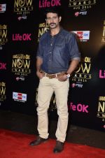 at Life Ok Now Awards in Mumbai on 3rd Aug 2014 (134)_53df435e61906.JPG