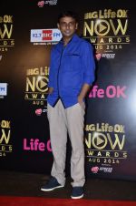 at Life Ok Now Awards in Mumbai on 3rd Aug 2014 (500)_53df43e3094da.JPG