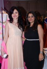 Sonal Sehgal at Divalicious exhibition in Four Seasons on 7th Aug 2014 (28)_53e4d4bb172fe.JPG