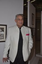 Dalip Tahil at JSW Event on 8th Aug 2014 (9)_53e619ef3d4c2.JPG