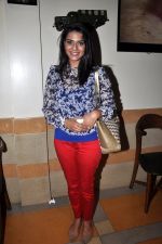 at Ek Haseena Thi 100 episodes completion at Eddie_s Bistro Pali Hill on 8th Aug 2014 (50)_53e762d9073de.JPG