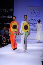 Model walk the ramp for Surendry at Lakme Fashion Week Winter Festive 2014 Day 2 on 20th Aug 2014  (40)_53f4826f501a6.JPG