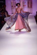 Model walk the ramp for Krishna Mehta at Lakme Fashion Week Winter Festive 2014 Day 3 on 21st Aug 2014 (219)_53f740ff3aace.JPG